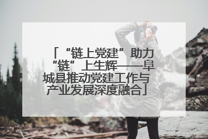 “链上党建”助力“链”上生辉——阜城县推动党建工作与产业发展深度融合