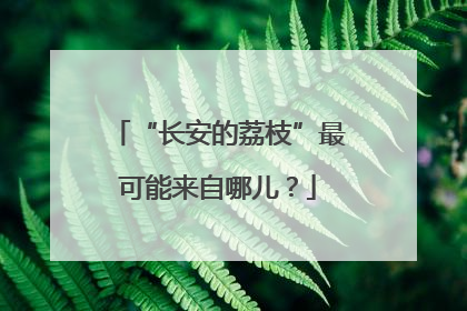 “长安的荔枝”最可能来自哪儿？