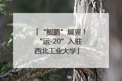 “鲲鹏”展翼！“运-20”入驻西北工业大学