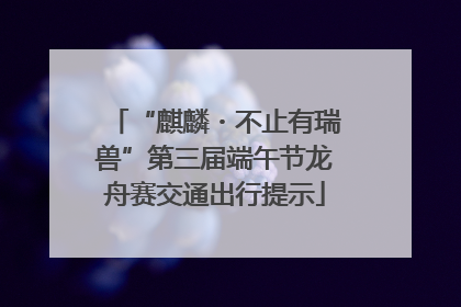 “麒麟・不止有瑞兽”第三届端午节龙舟赛交通出行提示