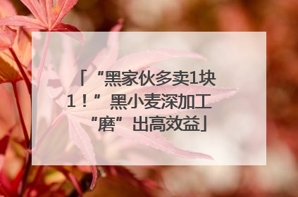 “黑家伙多卖1块1！”黑小麦深加工“磨”出高效益