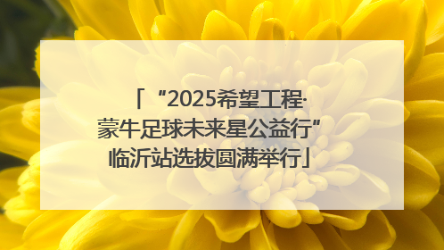 “2025希望工程·蒙牛足球未来星公益行”临沂站选拔圆满举行