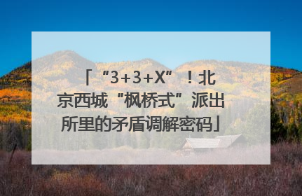 “3+3+X”！北京西城“枫桥式”派出所里的矛盾调解密码