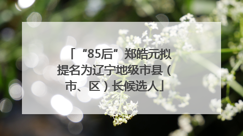 “85后”郑皓元拟提名为辽宁地级市县（市、区）长候选人