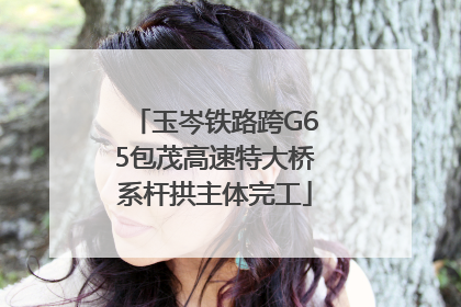 玉岑铁路跨G65包茂高速特大桥系杆拱主体完工
