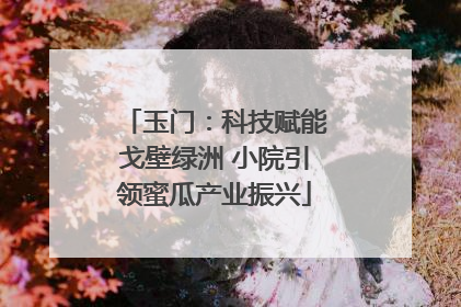 玉门：科技赋能戈壁绿洲 小院引领蜜瓜产业振兴