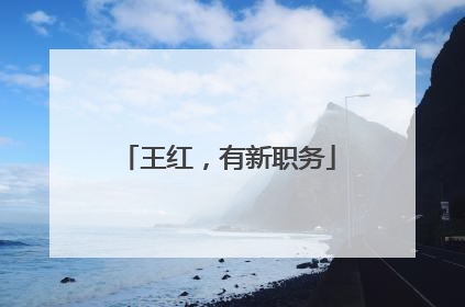 王红，有新职务