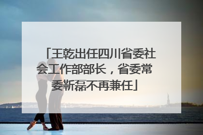 王乾出任四川省委社会工作部部长，省委常委靳磊不再兼任