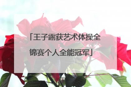 王子露获艺术体操全锦赛个人全能冠军