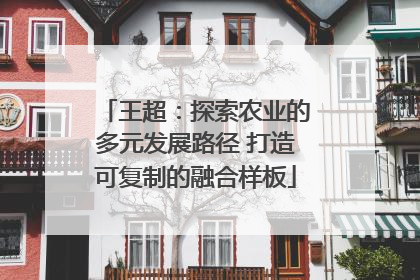 王超：探索农业的多元发展路径 打造可复制的融合样板