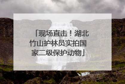 现场直击!湖北竹山护林员实拍国家二级保护动物