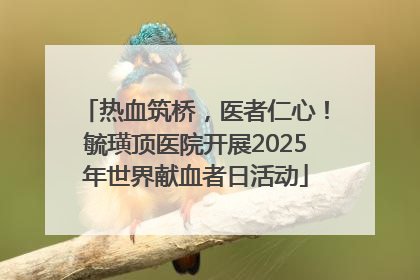 热血筑桥，医者仁心！毓璜顶医院开展2025年世界献血者日活动