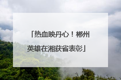 热血映丹心！郴州英雄在湘获省表彰