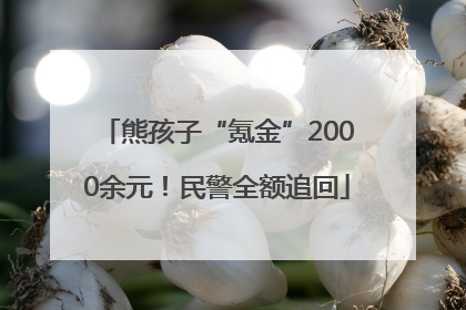 熊孩子“氪金”2000余元！民警全额追回