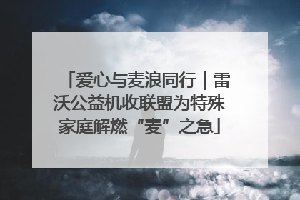 爱心与麦浪同行|雷沃公益机收联盟为特殊家庭解燃“麦”之急