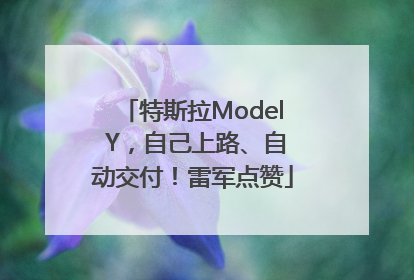 特斯拉Model Y，自己上路、自动交付！雷军点赞