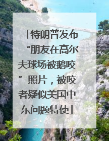 特朗普发布“朋友在高尔夫球场被鹅咬”照片，被咬者疑似美国中东问题特使