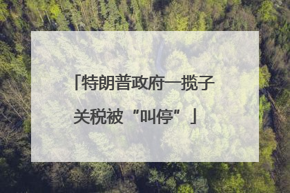 特朗普政府一揽子关税被“叫停”