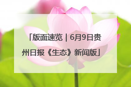 版面速览｜6月9日贵州日报《生态》新闻版