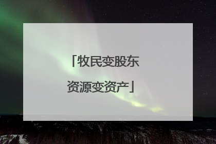 牧民变股东 资源变资产