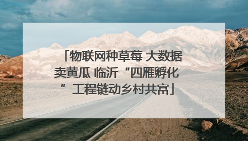 物联网种草莓 大数据卖黄瓜 临沂“四雁孵化”工程链动乡村共富