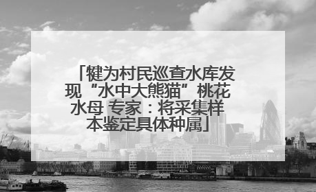 犍为村民巡查水库发现“水中大熊猫”桃花水母 专家：将采集样本鉴定具体种属