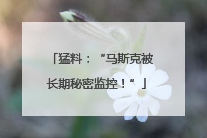 猛料：“马斯克被长期秘密监控！”