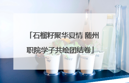 石榴籽聚华夏情 随州职院学子共绘团结卷