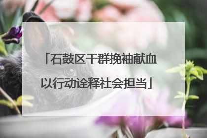 石鼓区干群挽袖献血 以行动诠释社会担当
