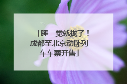 睡一觉就拢了！成都至北京动卧列车车票开售