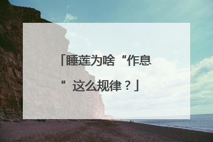 睡莲为啥“作息”这么规律？