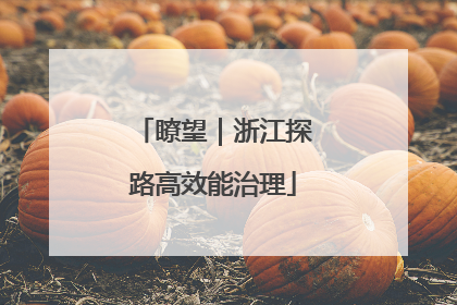 瞭望｜浙江探路高效能治理