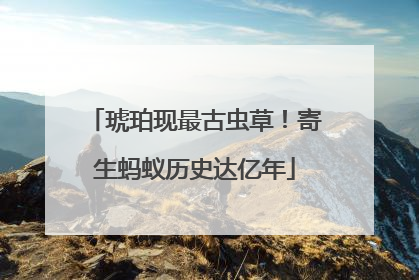 琥珀现最古虫草！寄生蚂蚁历史达亿年