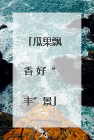 瓜果飘香 好“丰”景