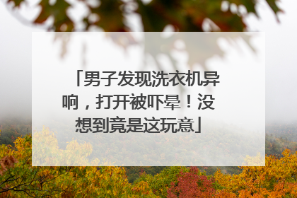男子发现洗衣机异响，打开被吓晕！没想到竟是这玩意