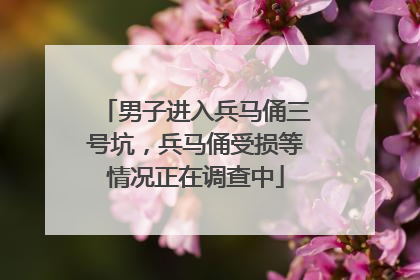 男子进入兵马俑三号坑，兵马俑受损等情况正在调查中