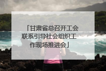 甘肃省总召开工会联系引导社会组织工作现场推进会