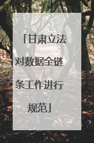 甘肃立法对数据全链条工作进行规范