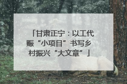 甘肃正宁：以工代赈“小项目”书写乡村振兴“大文章”