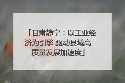 甘肃静宁：以工业经济为引擎 驱动县域高质量发展加速度