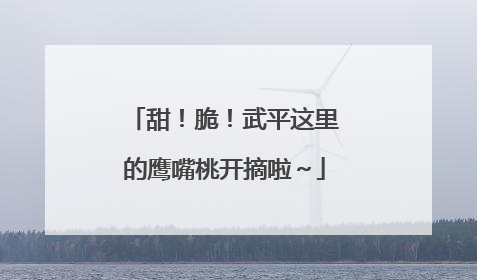 甜！脆！武平这里的鹰嘴桃开摘啦～