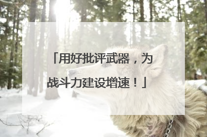 用好批评武器，为战斗力建设增速！