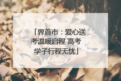 界首市：爱心送考温暖启程 高考学子行程无忧