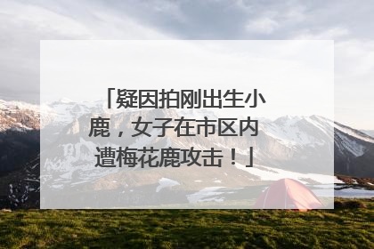 疑因拍刚出生小鹿，女子在市区内遭梅花鹿攻击！