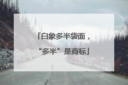 白象多半袋面，“多半”是商标