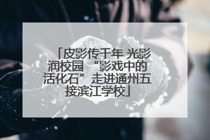 皮影传千年 光影润校园 “影戏中的活化石”走进通州五接滨江学校