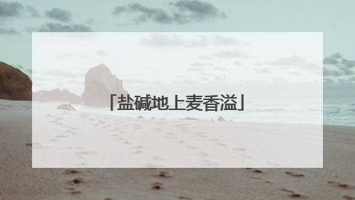 盐碱地上麦香溢