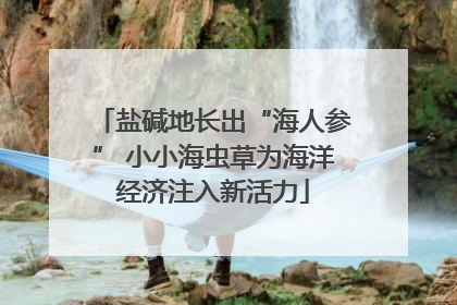 盐碱地长出“海人参” 小小海虫草为海洋经济注入新活力