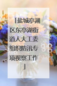 盐城亭湖区东亭湖街道人大工委组织防汛专项视察工作
