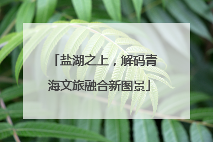 盐湖之上，解码青海文旅融合新图景